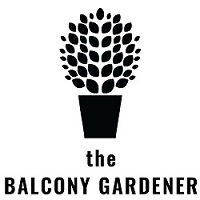 The Balcony Gardener